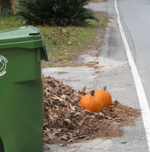 Pumpkin in trash