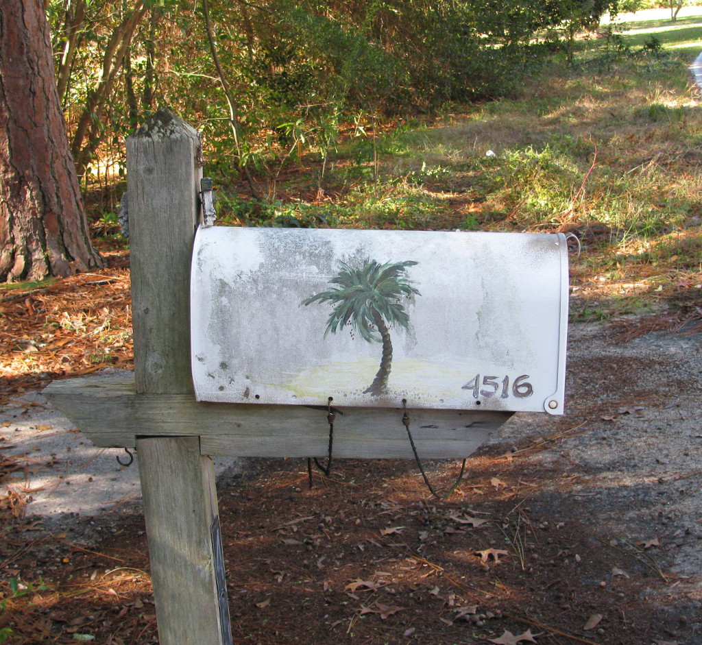 Palm Tree Mailbox