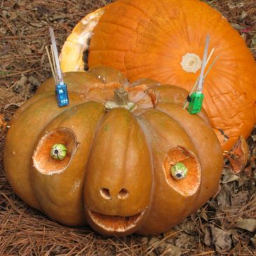 Alien Pumpkin