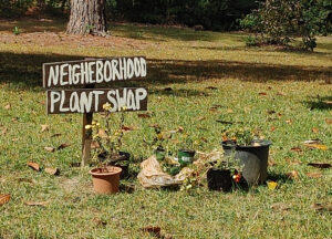 Neighborhood Plant Swap