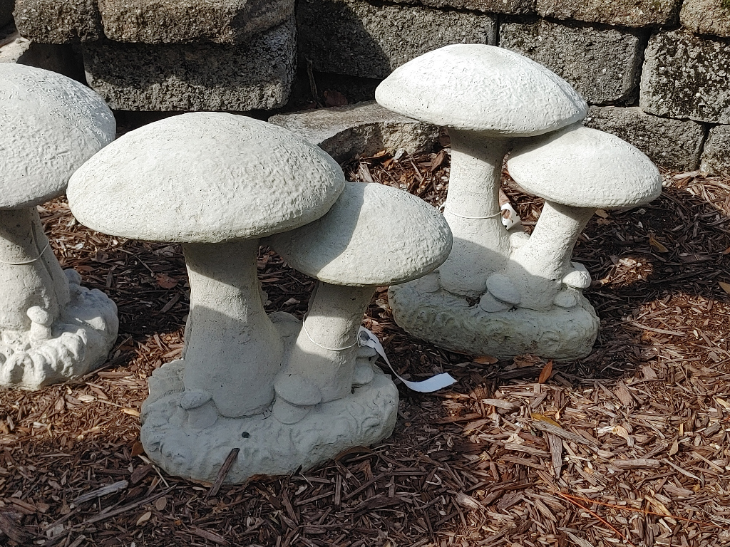 Cement Mushrooms