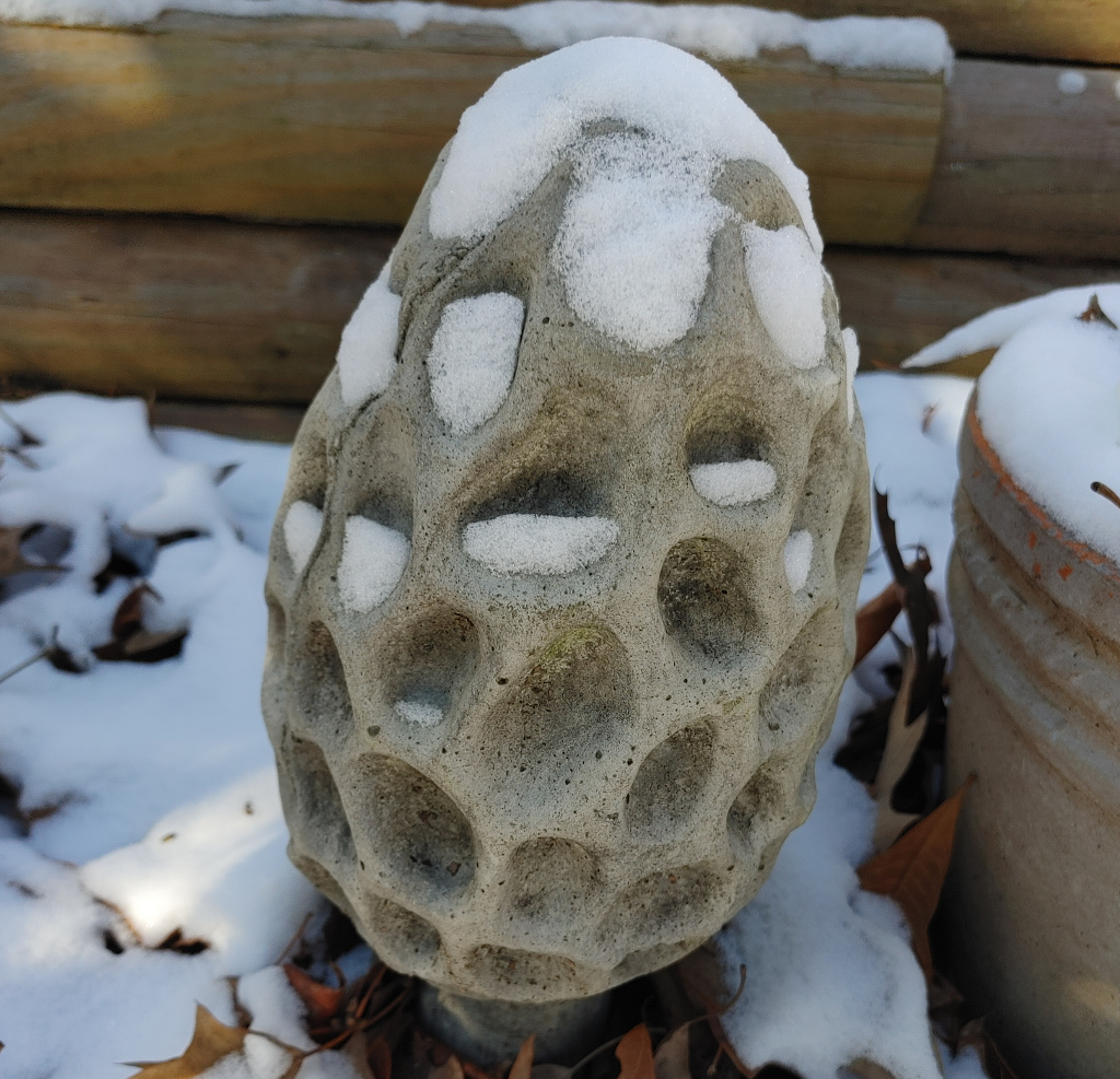 Snow on Statue of Morel Mushroom