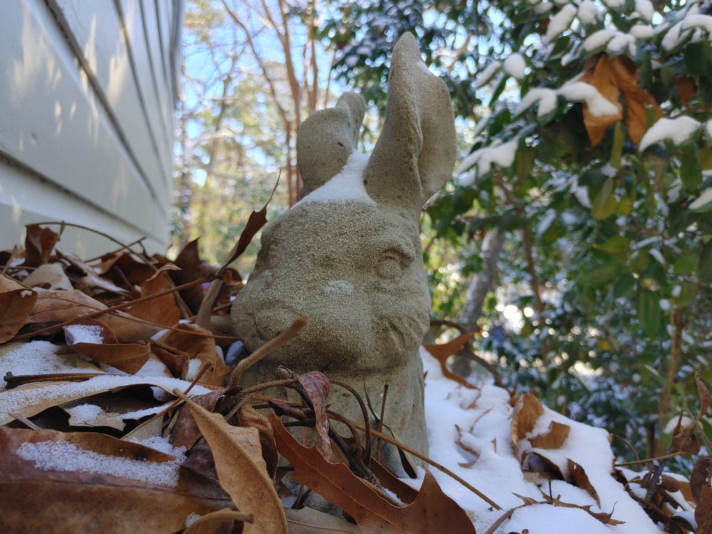 Snow on Rabbit Statue